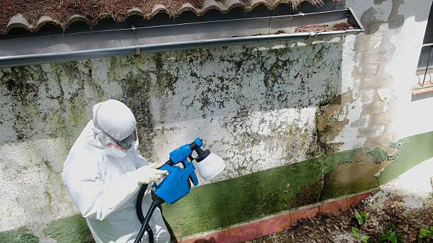 Top rated local Commercial Mold Remediation specialists in Goldvein, VA